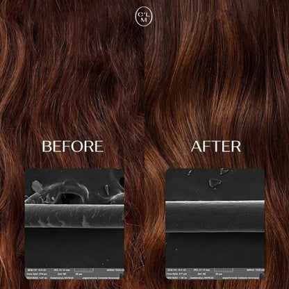 Comprehensive Hair Restoring and Nourishing Set