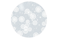 Niacinamide