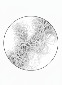 Marine collagen